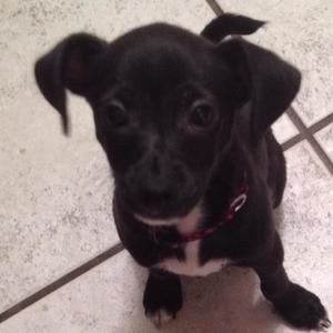 Meet your Posher, Walter